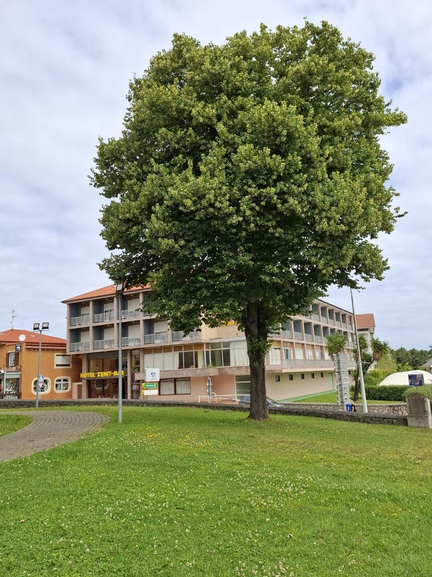 Hotel Zenit Mar Noja Zewnętrze zdjęcie
